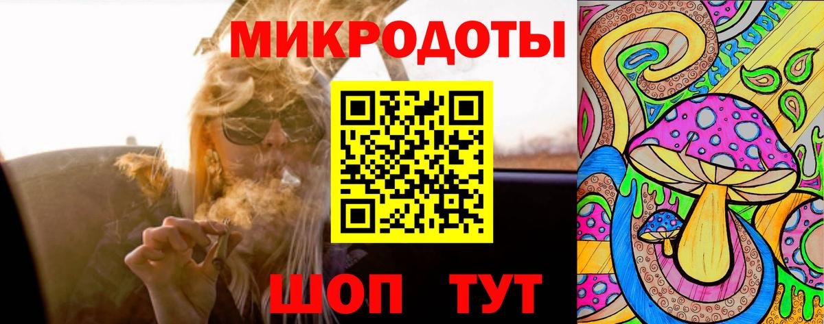 Галлюциногенные грибы Psilocybe Мурманск