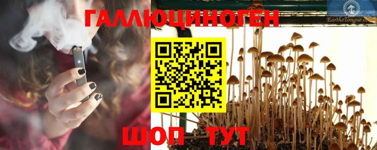 Галлюциногенные грибы Magic Shrooms  Псилоцибиновые грибы мухоморы  Вход с VPN  Мурманск 